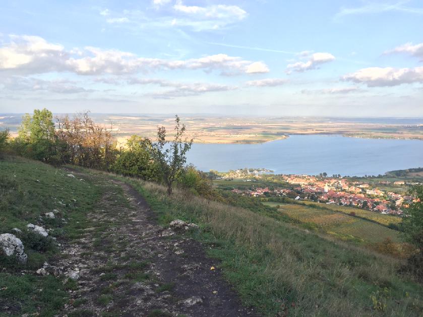 Přinášíme aktuální foto z dnešního značení trasy 6.závodu Horské výzvy na Pálavě